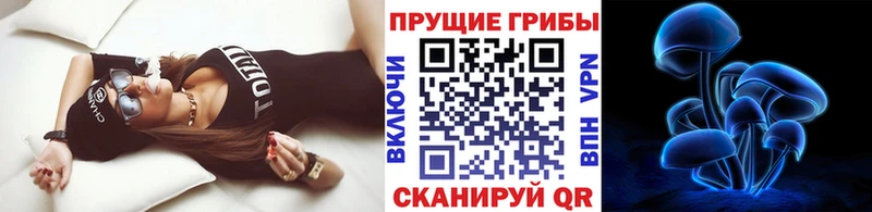 Псилоцибиновые грибы MAGIC MUSHROOMS  Александров 