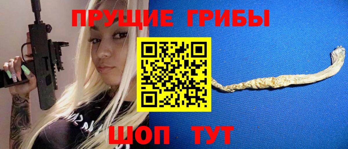 Галлюциногенные грибы прущие грибы  Александров 