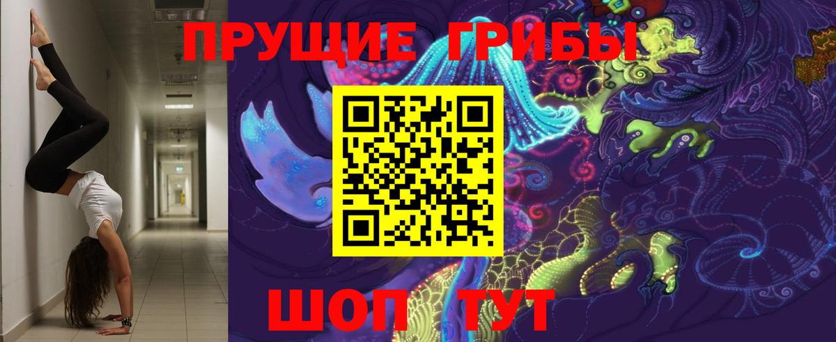 Псилоцибиновые грибы Cubensis  Вход с VPN  Александров  Псилоцибиновые грибы GOLDEN TEACHER 